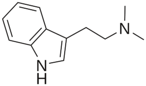Buy dmt