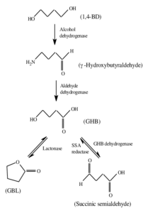 Gamma-Butyrolactone