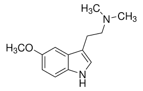 buy 5-MeO-DMT online