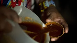 Ayahuasca for sale
